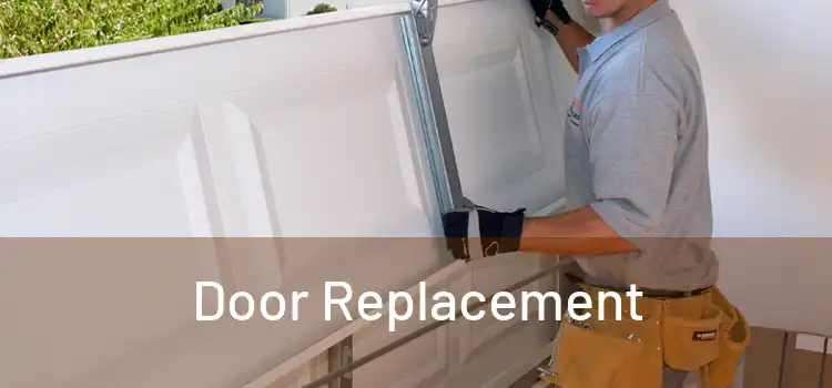  Door Replacement 